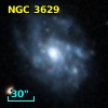 NGC  3629