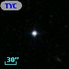 TYC 1981-43-1