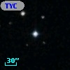 TYC 1981-302-1