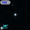 TYC 1981-975-1