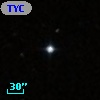 TYC 1981-1516-1
