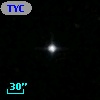 TYC 1981-2079-1