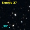 Koenig 37