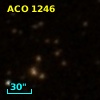 ACO  1246