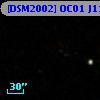 [DSM2002] OC01 J1118+2107