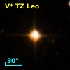 V* TZ Leo