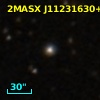 2MASX J11231630+1813178