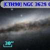 [CTH90] NGC 3628 C10