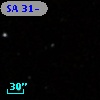 SA  31-