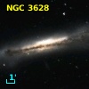 NGC  3628