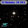 Cl Melotte   20   981
