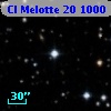 Cl Melotte   20  1000