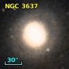 NGC  3637