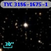 TYC 3186-1675-1