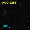 ACO  1256