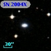 SN 2004X
