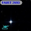 FAUST 2893