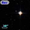 Ross 1002