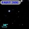 FAUST 2895