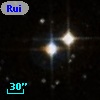 Ruiz 439-16