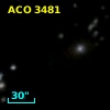 ACO  3481