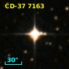 CD-37  7163