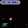 CD-36  7081