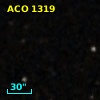 ACO  1319