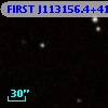 FIRST J113156.4+410307