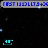 FIRST J113117.9+362950