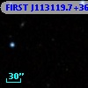 FIRST J113119.7+362929