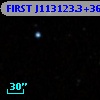 FIRST J113123.3+362900