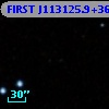 FIRST J113125.9+364017