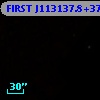 FIRST J113137.8+374016