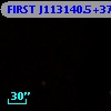 FIRST J113140.5+373901