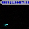FIRST J113646.7+364504