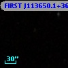 FIRST J113650.1+364544