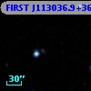 FIRST J113036.9+364350