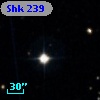 Shk 239