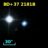 BD+37  2181B