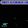 FIRST J113048.9+361639