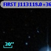 FIRST J113118.0+361537