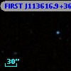 FIRST J113616.9+361853