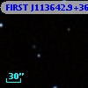 FIRST J113642.9+362213