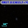 FIRST J113655.7+354159