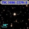 TYC 3186-2229-1