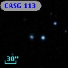 CASG  113