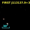 FIRST J113137.9+313121