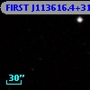 FIRST J113616.4+314751