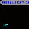 FIRST J113125.7+293032
